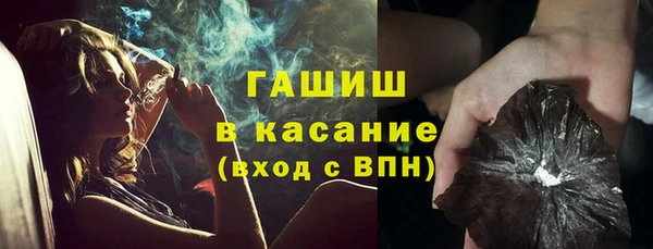 гидра Богородицк
