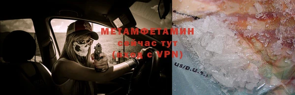 гидра Богородицк