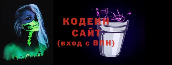 гидра Богородицк