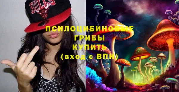 гидра Богородицк