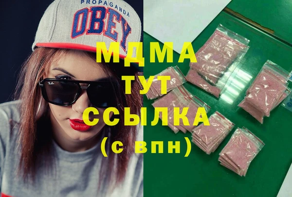 гидра Богородицк