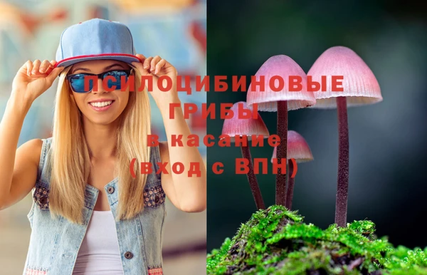 гидра Богородицк