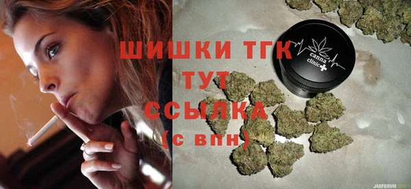 гидра Богородицк