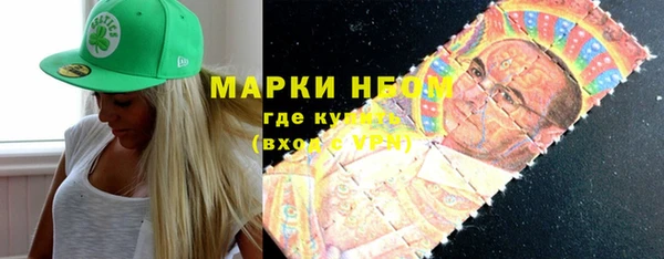 гидра Богородицк