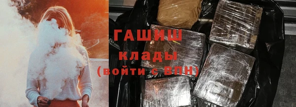 гидра Богородицк