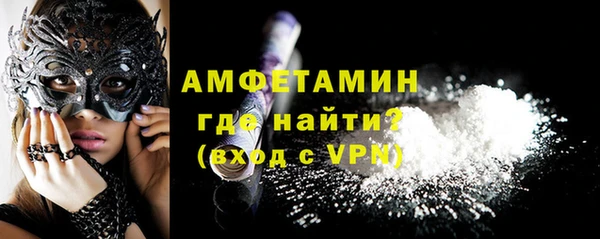 гидра Богородицк