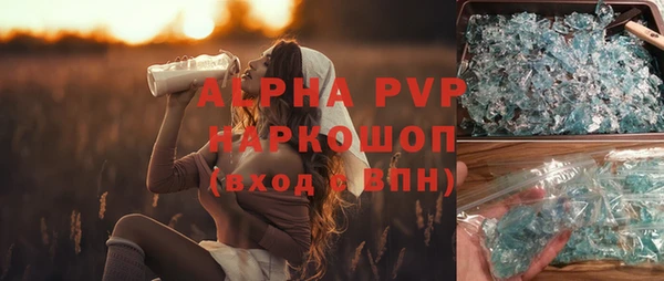 гидра Богородицк