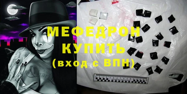 гидра Богородицк