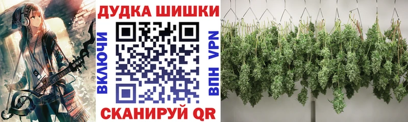 Купить закладки  Ясный  Каннабис планчик 
